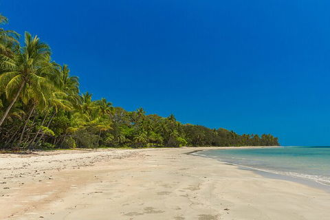 Ocean Safari Great Barrier Reef Experience In Cape Tribulation - Attractions Sydney 3