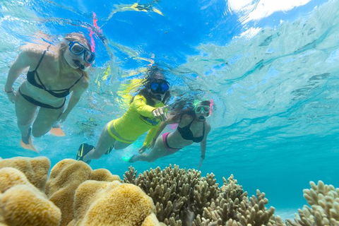 Ocean Safari Great Barrier Reef Experience In Cape Tribulation - Attractions Sydney 4