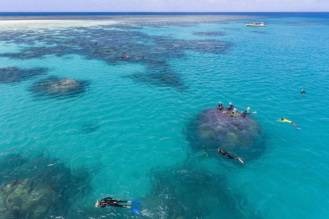 Ocean Safari Great Barrier Reef Experience In Cape Tribulation - Attractions Sydney 12