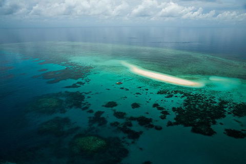 Ocean Safari Great Barrier Reef Experience In Cape Tribulation - Attractions Sydney 16