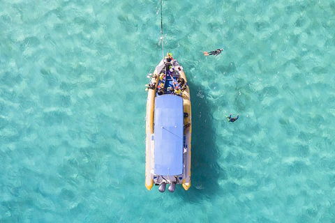 Ocean Safari Great Barrier Reef Experience In Cape Tribulation - Attractions Sydney 17