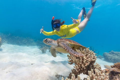 Ocean Safari Great Barrier Reef Experience In Cape Tribulation - Attractions Sydney 13