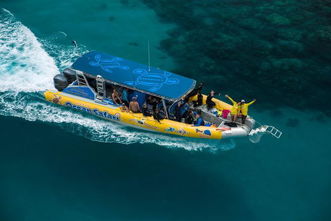 Ocean Safari Great Barrier Reef Experience In Cape Tribulation - Attractions Sydney 9