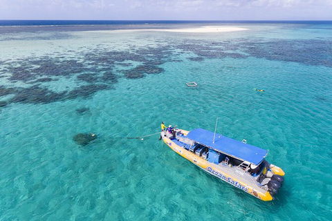 Ocean Safari Great Barrier Reef Experience In Cape Tribulation - Attractions Sydney 11