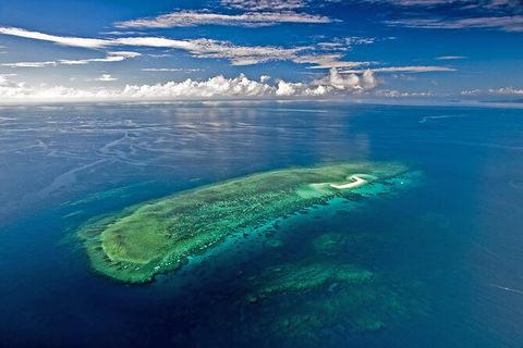 Ocean Safari Great Barrier Reef Experience In Cape Tribulation - Attractions Sydney 15