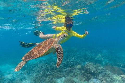 Ocean Safari Great Barrier Reef Experience In Cape Tribulation - Attractions Sydney 14