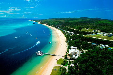 Tangalooma Island Resort Classic Whale Watching Day Cruise - Attractions Sydney 1