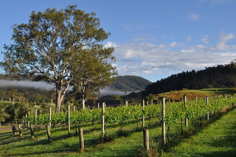 Full Day Mount Tamborine Winery Tour From Gold Coast - Attractions Sydney 15