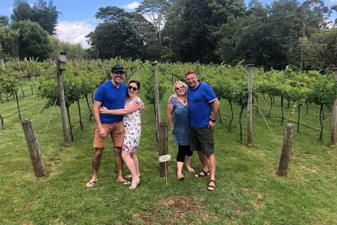 Full Day Mount Tamborine Winery Tour From Gold Coast - Attractions Sydney 6