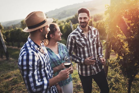 Full Day Mount Tamborine Winery Tour From Gold Coast - Attractions Sydney 13