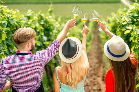 Full Day Mount Tamborine Winery Tour From Gold Coast - Attractions Sydney 14