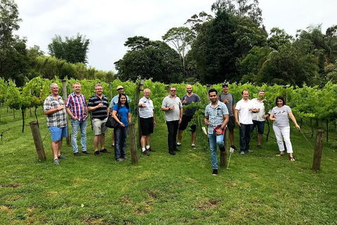 Full Day Mount Tamborine Winery Tour From Gold Coast - Attractions Sydney 7