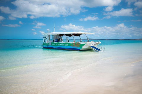 Great Sandy Marine Park Turtle Discovery And Cultural Eco Tour - Attractions Sydney 0
