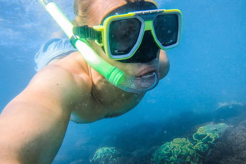 Great Sandy Marine Park Turtle Discovery And Cultural Eco Tour - Attractions Sydney 2