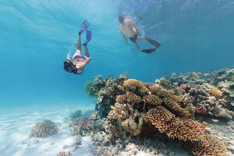 5-Day Fraser Island And Great Barrier Reef Tour - Attractions Sydney 1