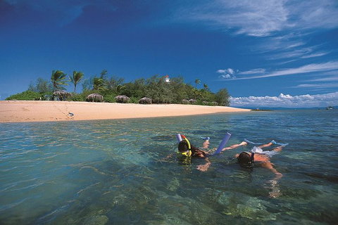 Mossman Gorge Dreamtime Walk And Low Isles Snorkeling And Sailing Cruise - Attractions Sydney 1