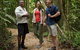 Mossman Gorge Dreamtime Walk And Low Isles Snorkeling And Sailing Cruise - thumb 2