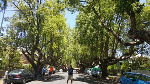 Brisbane Bike Tour - Attractions Sydney 2
