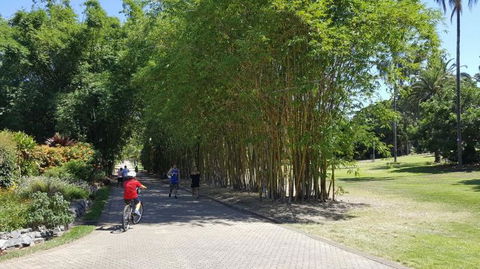 Brisbane Bike Tour - Attractions Sydney 4
