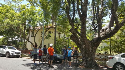Brisbane Bike Tour - Attractions Sydney 3