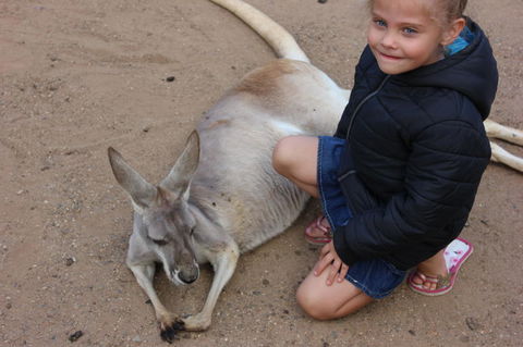 Gold Coast Attraction Pass Including Currumbin Wildlife Sanctuary And Paradise Jetboating - Attractions Sydney 3