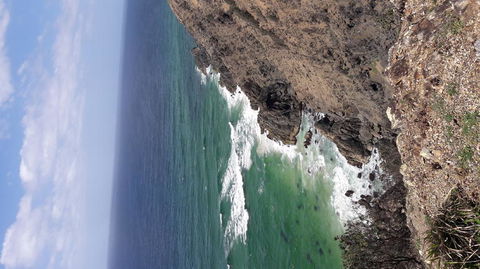 Chill Out At Byron Bay From Gold Coast - Attractions Sydney 2