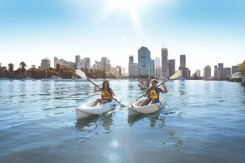 Brisbane Kayak Tour - Attractions Sydney 4