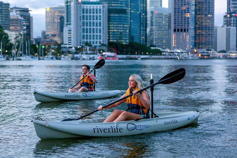 Brisbane Kayak Tour - Attractions Sydney 3