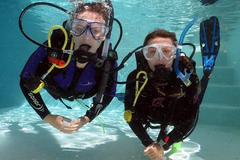 Quicksilver Dive 4 Day PADI Learn To Dive Course - Attractions Sydney 7