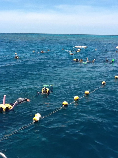 Quicksilver Outer Great Barrier Reef Snorkel Cruise From Port Douglas - Attractions Sydney 2