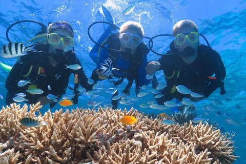 Quicksilver Outer Great Barrier Reef Snorkel Cruise From Port Douglas - Attractions Sydney 6