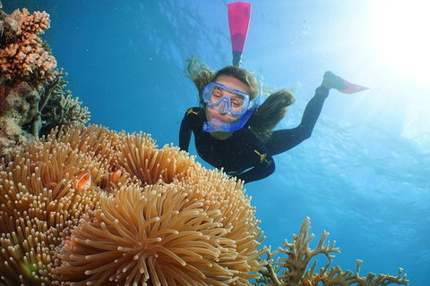 Quicksilver Outer Great Barrier Reef Snorkel Cruise From Port Douglas - Attractions Sydney 9