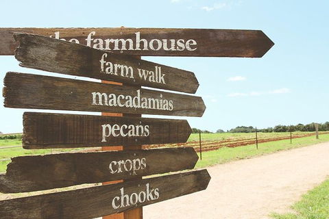 Byron Bay Day Trip From Gold Coast Including Cape Byron Lighthouse - Attractions Sydney 9