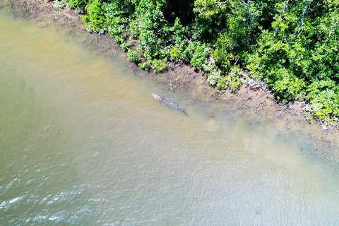 1-Hour Daintree River Wildlife Cruise - Attractions Sydney 11