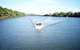 1-Hour Daintree River Wildlife Cruise - thumb 9