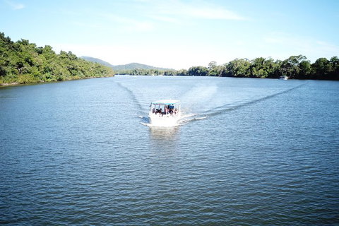 1-Hour Daintree River Wildlife Cruise - Attractions Sydney 9