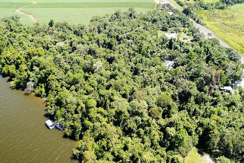 1-Hour Daintree River Wildlife Cruise - Attractions Sydney 5