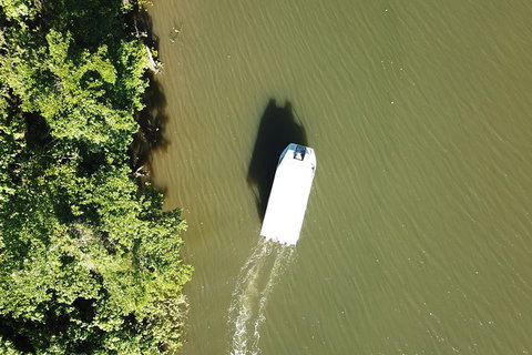 1-Hour Daintree River Wildlife Cruise - Attractions Sydney 3