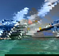 Eco Marine Safari - Boom netting  Snorkeling Moreton Island - Fortitude Valley