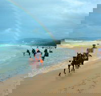 Rainbow Beach Horse Ride - Attractions Sydney
