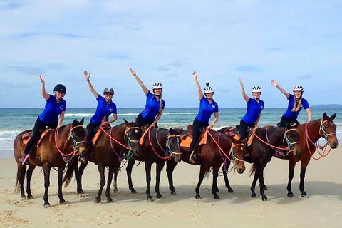Rainbow Beach Horse Ride - Attractions Sydney 4