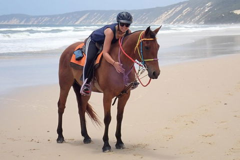 Rainbow Beach Horse Ride - Attractions Sydney 2