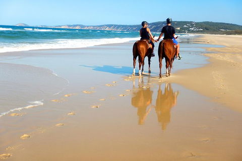 Rainbow Beach Horse Ride - Attractions Sydney 3
