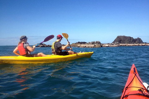 Port Douglas Half-Day Kayak Tour - Attractions Sydney 0