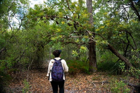 Pack-free Camping: Lake McKenzie Central Hike - 2 Days - Attractions Sydney 1