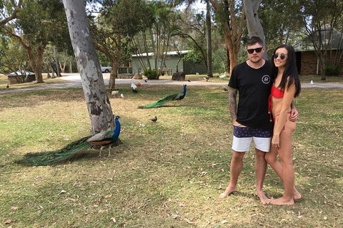 Surfers Paradise Stand Up Paddle Tour - Attractions Sydney 5