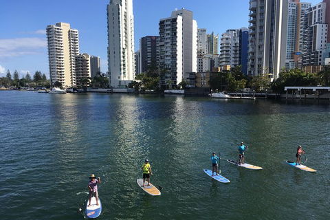 Surfers Paradise Stand Up Paddle Tour - Attractions Sydney 3