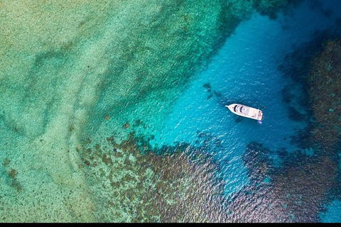 Great Barrier Reef Dive And Snorkel Cruise From Mission Beach - Attractions Sydney 3