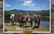 Blazing Saddles Horse Riding - thumb 0