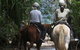 Blazing Saddles Horse Riding - thumb 1